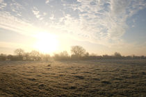 frosty field by mark severn
