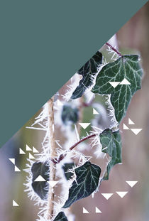 winter ivy & triangles by Eva Stadler