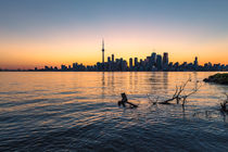 Toronto 08 by Tom Uhlenberg