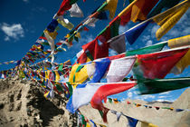 Buddhist prayer flags, Ladakh, India by studio-octavio