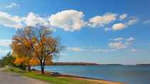 Middle Of Fall At Cass Lake von John Bailey