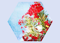 Nature and Geometry - Red Flowers Blue Sky von Denis Marsili