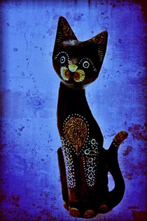 Cat and blue by leddermann