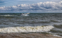 Speedboat On Lake Erie by John Bailey