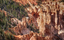 Incredible Landscape Of Bryce Canyon by John Bailey