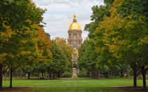 The Golden Dome Of Notre Dame by John Bailey