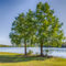 Foxlake20130507-76a