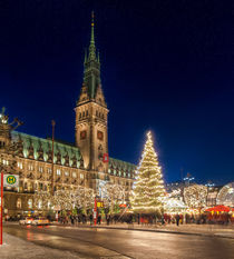 Hamburger Rathaus mit Weihnachtsmarkt by Frank  Jeßen