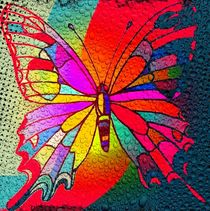 Color Butterfly von Nico  Bielow