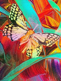 Spring Butterfly von Nico  Bielow