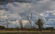 The Flatlands Of The Indiana Dunes by John Bailey