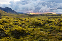 Surreal landscape with wooly moss at sunset in Iceland by creativemarc