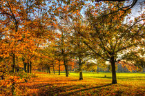 Autumn Trees by David Pyatt