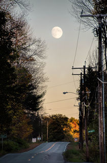 Herbstfärbung - Full-Moon , USA by marie schleich