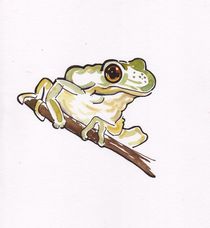 Frog in a tree von Terence Donnelly