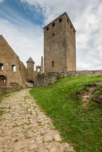 Burg Lichtenberg 48 by Erhard Hess