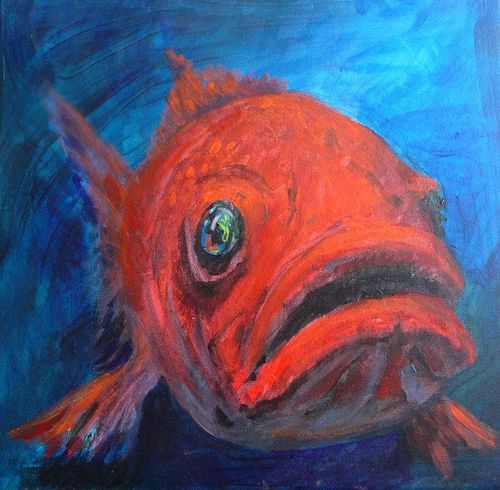 Red-fish