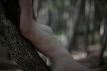 Lying in a tree trunk von Xavier Minguella