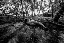 Embracing a death tree by Xavier Minguella