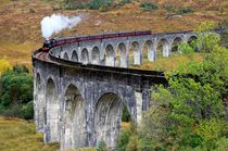 Hogwarts Train by Bruno Schmidiger