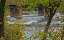 Potomac Autumn von John Bailey