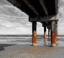 Under the Boardwalk by O.L.Sanders Photography