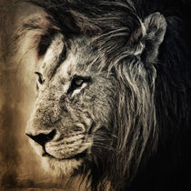 Lion II von AD DESIGN Photo + PhotoArt