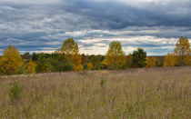 Autumn Beauty At Antietam von John Bailey
