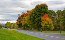 Autumn In Maryland by John Bailey