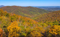 Blue Ridge Autumn Spectacular by John Bailey