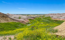 River Of Green At The Badlands by John Bailey