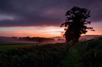  Hele Payne farm at dawn by Pete Hemington