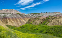 Sensory Overload At The Badlands by John Bailey