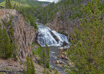 Gibbons Falls Yellowstone by John Bailey