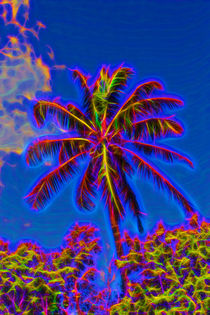 Festive Coconut Palm von John Bailey