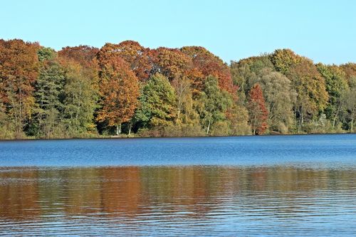 Herbstwald-am-seeufer