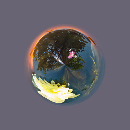 Pond-in-sphere