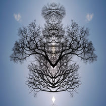 Tree Flip 2 by Steve Ball