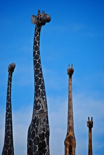 4 Giraffen... by loewenherz-artwork