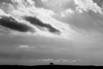 Baum am Horizont by Boris Eisele