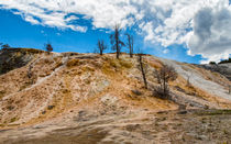 Heading To Palette Springs Yellowstone by John Bailey