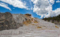 Palette Springs Terraces Yellowstone by John Bailey