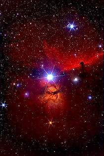 Pferdekopfnebel-Region - B 33 - Horsehead Nebula Region von monarch