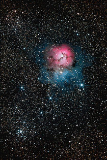 Trifid Nebel - Messier 20 - Trifid Nebula von monarch