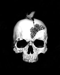 Skull and soul by Giordano Aita