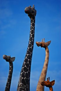 dreieinhalb Giraffen... von loewenherz-artwork