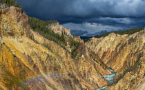 Colors Galore At The Grand Canyon In Yellowstone by John Bailey