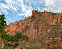 Those Incredible Zion Canyon Walls by John Bailey