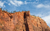 Magnificent Walls At Zion Canyon by John Bailey