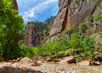 Zion Canyon And The Virgin River by John Bailey